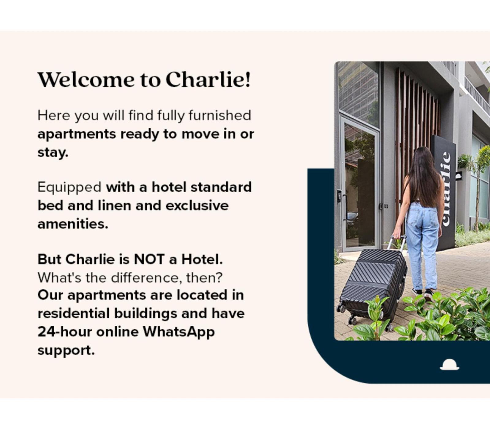 Charlie Girassol Vila Madalena São Paulo Zewnętrze zdjęcie